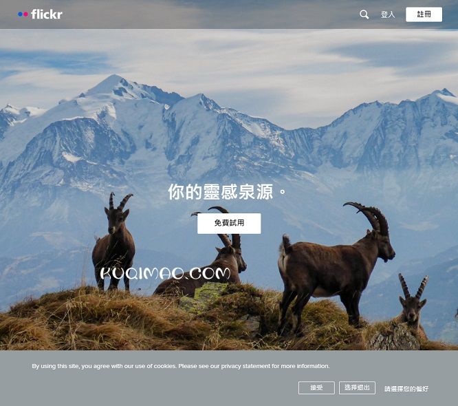 flickr网站截图