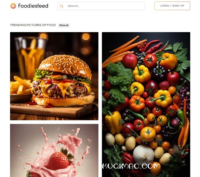 FoodiesFeed网站截图