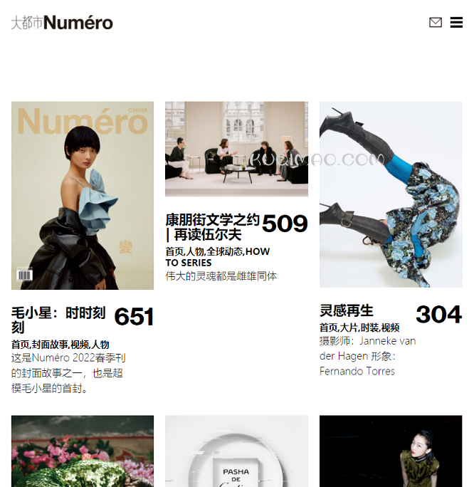 大都市Numero网站截图