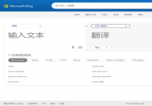 微软必应翻译