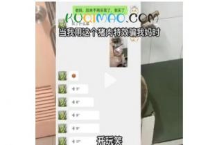 可能和我的家教有关吧是什么意思