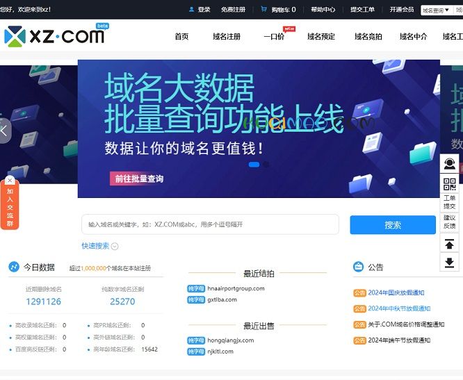 XZ域名网网站截图