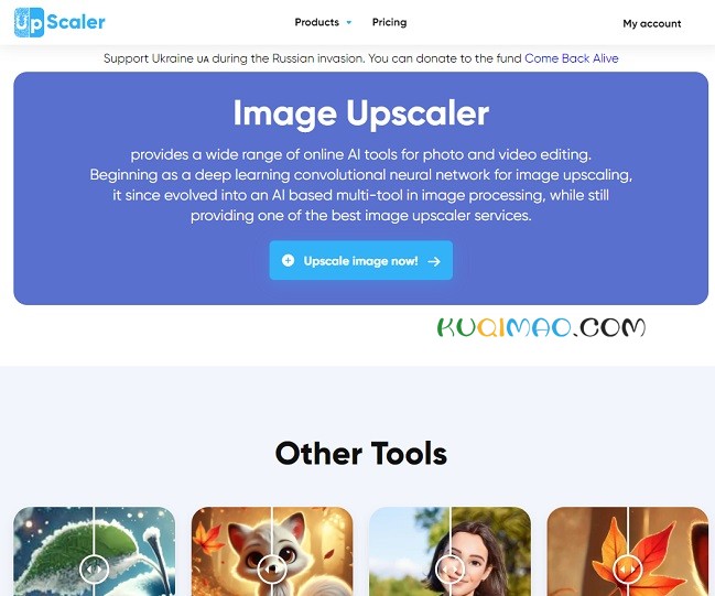 ImgUpscaler网站截图