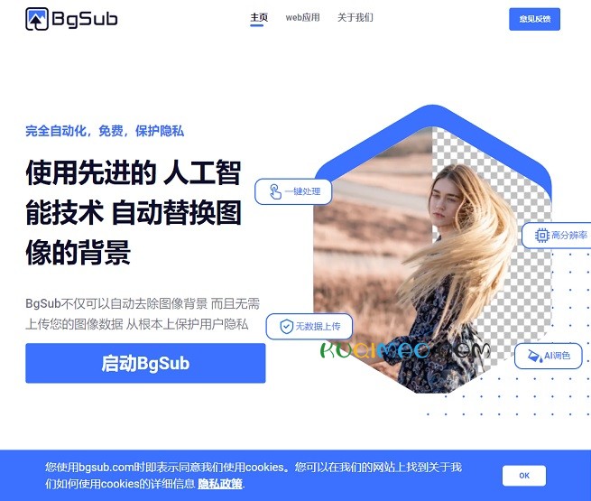 BgSub网站截图