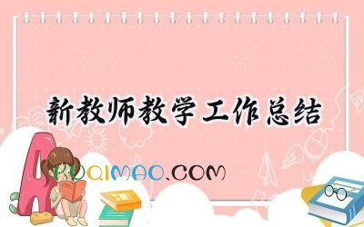 新教师教学工作总结怎么写范文 (17篇）