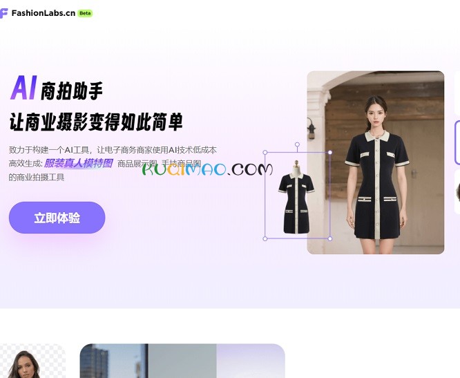 FashionLabs网站截图