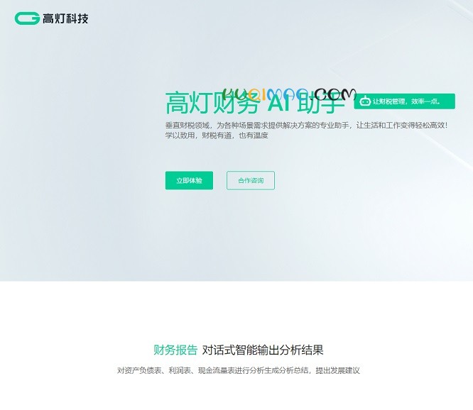 高灯财务AI助手网站截图