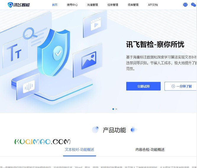 讯飞智检网站截图