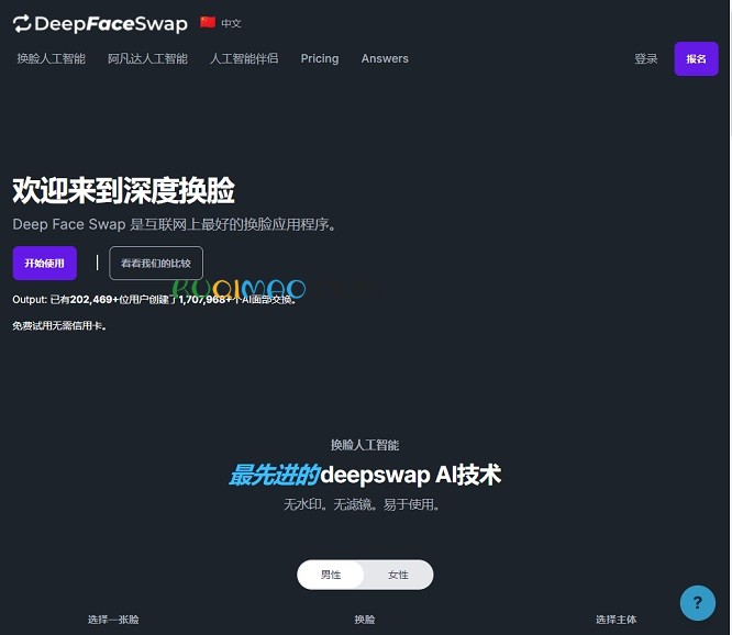 DeepFaceSwap网站截图