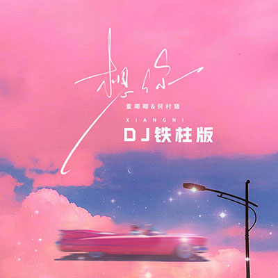 想你 (DJ铁柱版)歌词  -  DJ铁柱