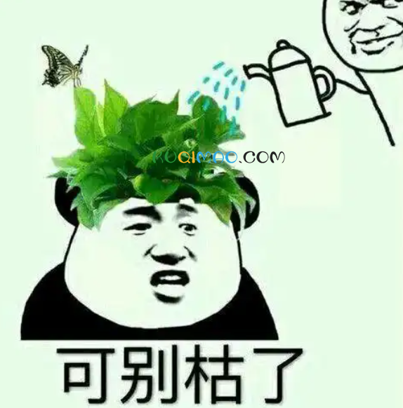 接盘侠喜当爹