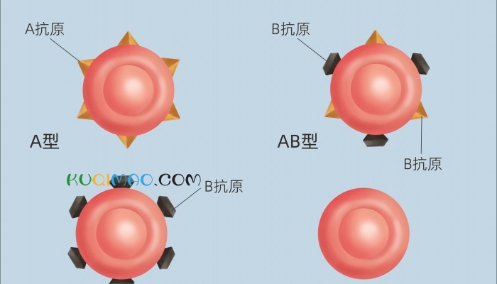 罕见！云南发现1例“恐龙血”