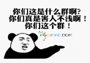 你们这个是什么群啊是什么意思