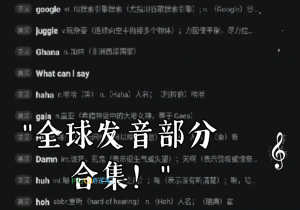 全球发音Damn是什么意思