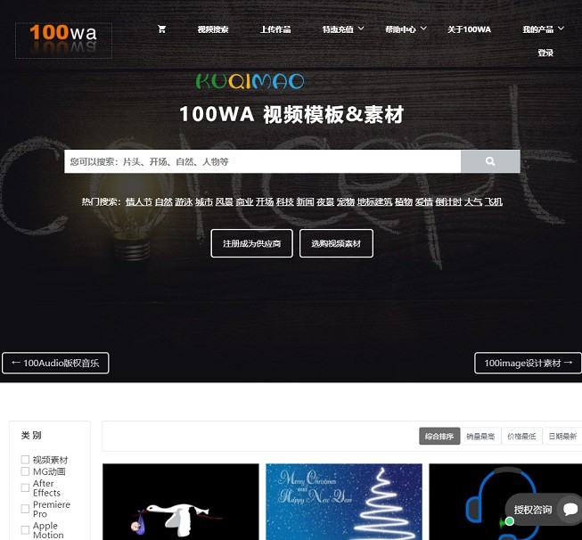 100Wa网站截图