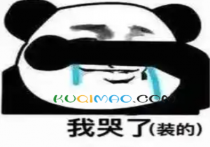 他真的，我哭死是什么意思