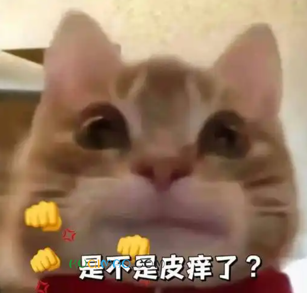 小猫歪嘴