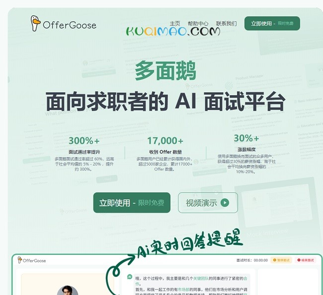 OfferGoose多面鹅网站截图