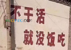 年轻人的福报是什么意思