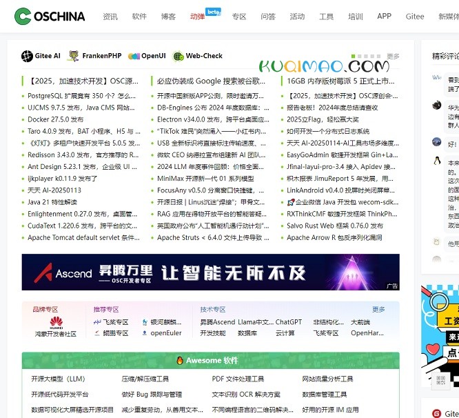 OSCHINA网站截图