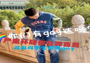 Gay达是什么意思