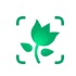 PictureThislogo图标