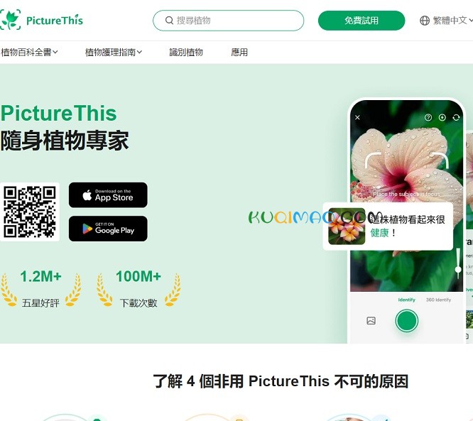 PictureThis网站截图