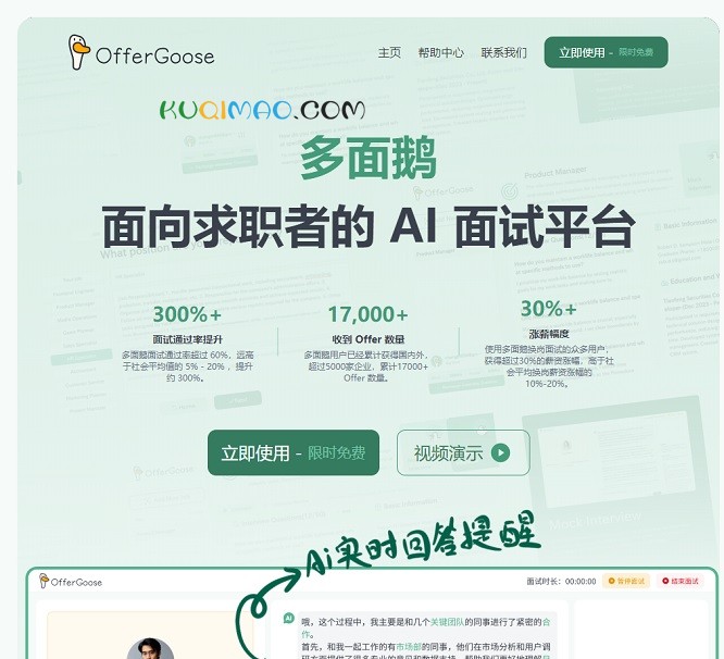 OfferGoose 多面鹅网站截图