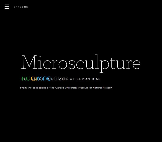 Microsculpture网站截图