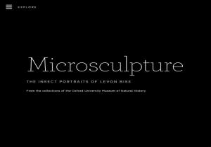 Microsculpture