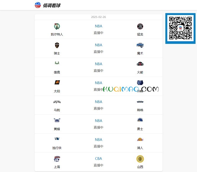 低调看球网网站截图